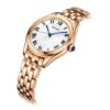 Fashion Blue White Dial Rose Gold Strap 5 Waterproof Quartz Watch